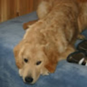 Meet your Posher, Wendy